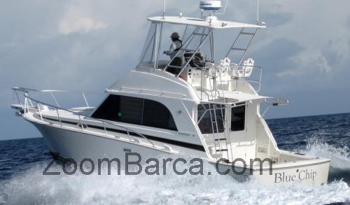 Bertram 33 Convertible scheda tecnica e recensioni